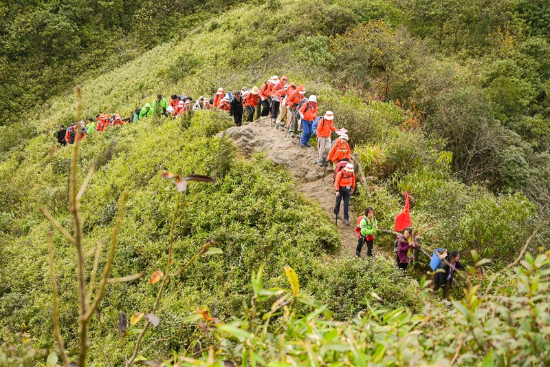 Đoàn leo núi "nhuộm vàng" các cung đường rừng