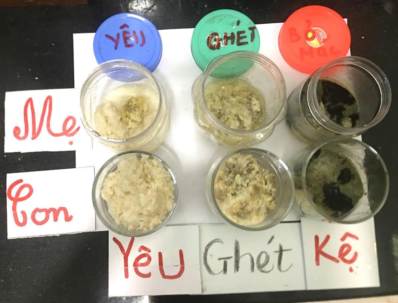 Thí nghiệm 3 hũ cơm cho thấy lời nói mang năng lượng