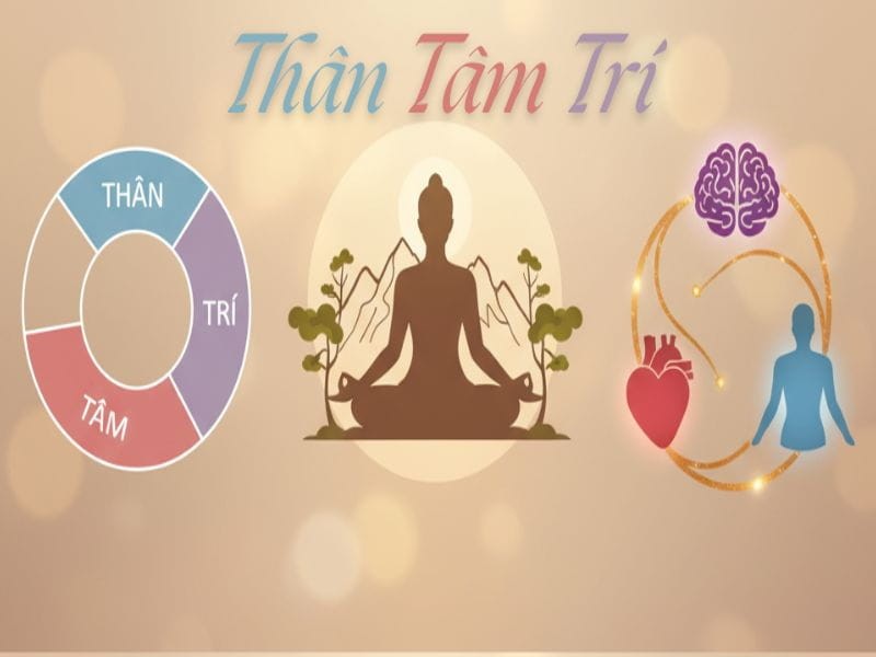 Thân - Tâm - Trí 3 thứ tồn tại không thể tách rời