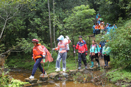 Đăng ký tham gia leo Fansipan cùng Học viện Minh Trí Thành đã giúp chị Hằng có động lực để tập luyện đi bộ hàng ngày, từ 1km cho đến 2, 3km