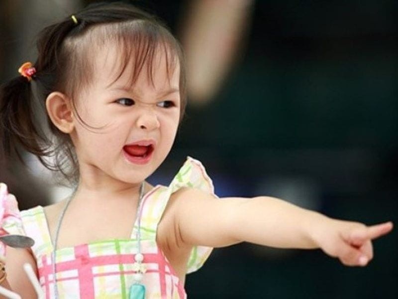 Trẻ thường la hét, ném đồ, ăn vạ khi nhu cầu không được đáp ứng