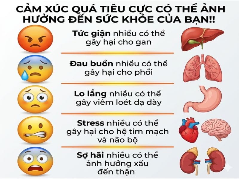 Cảm xúc là gì