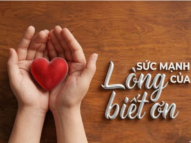 Lòng biết ơn là gì