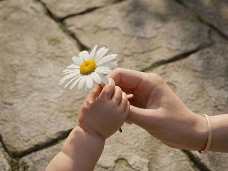 Lòng biết ơn là gì