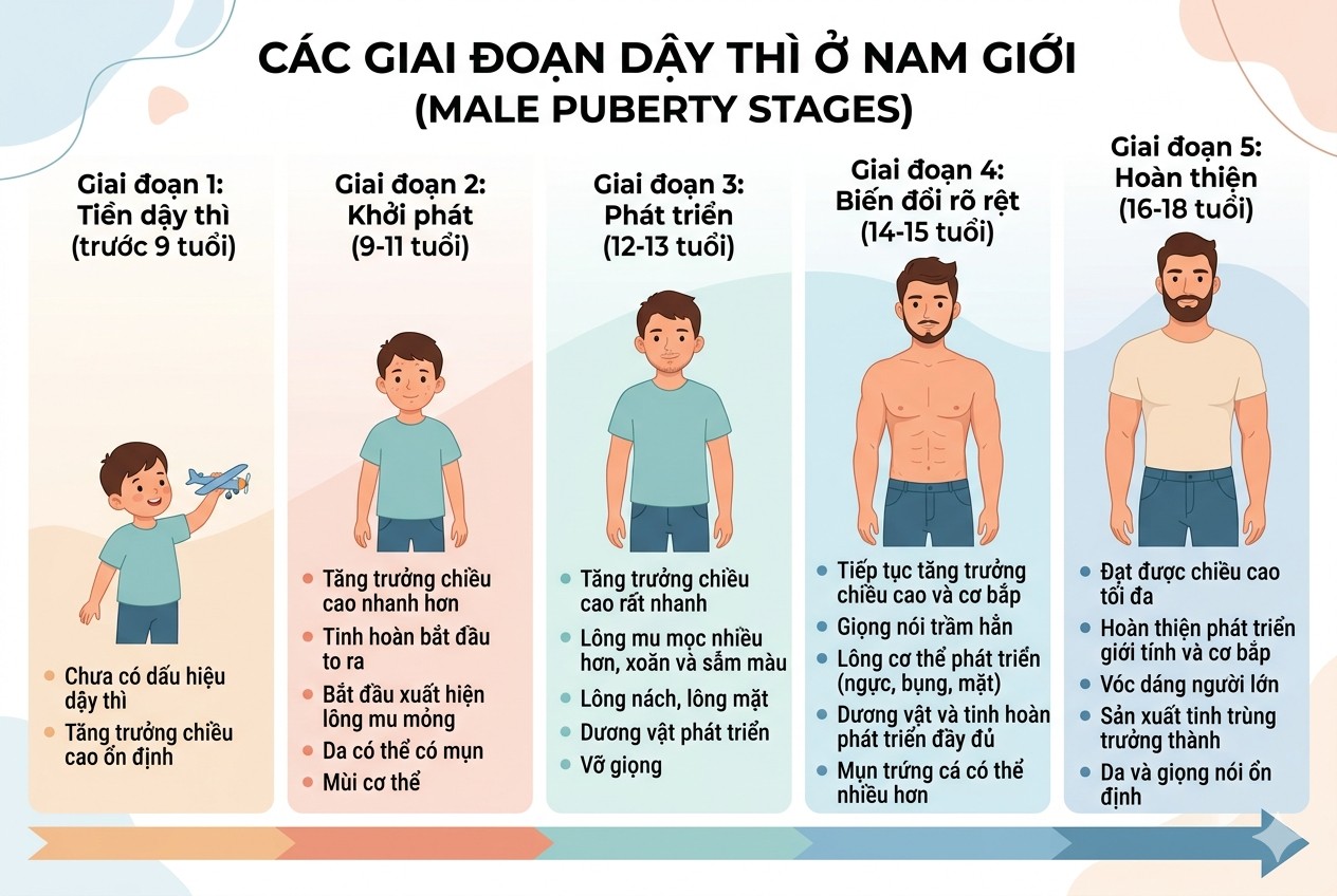 Tuổi dậy thì ở nam